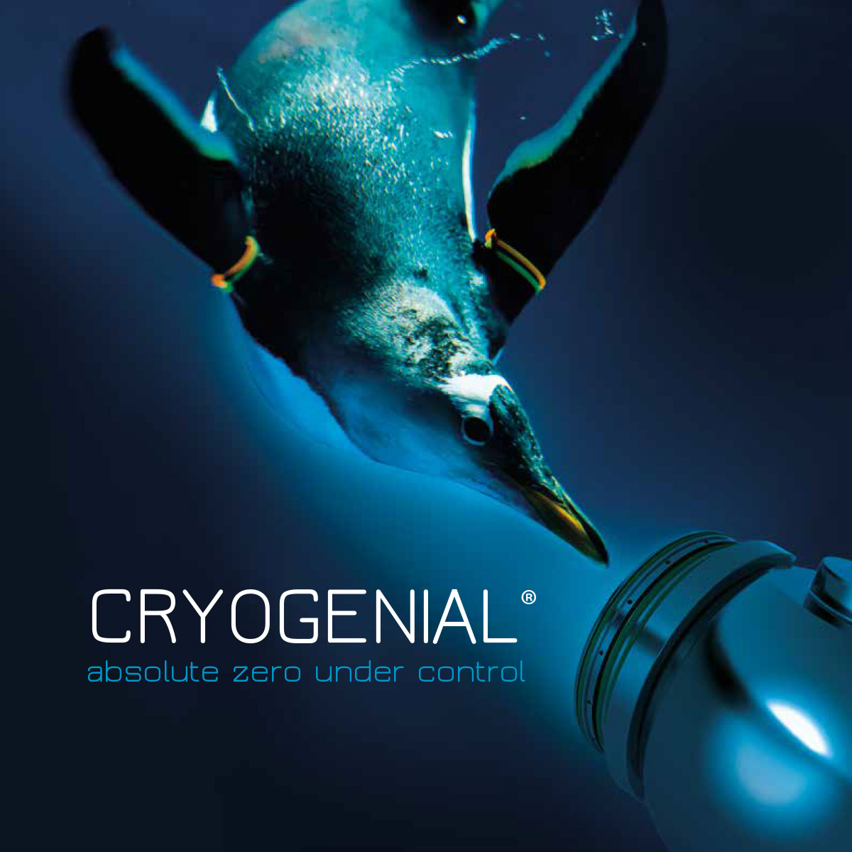 Depliant Cryogenial
