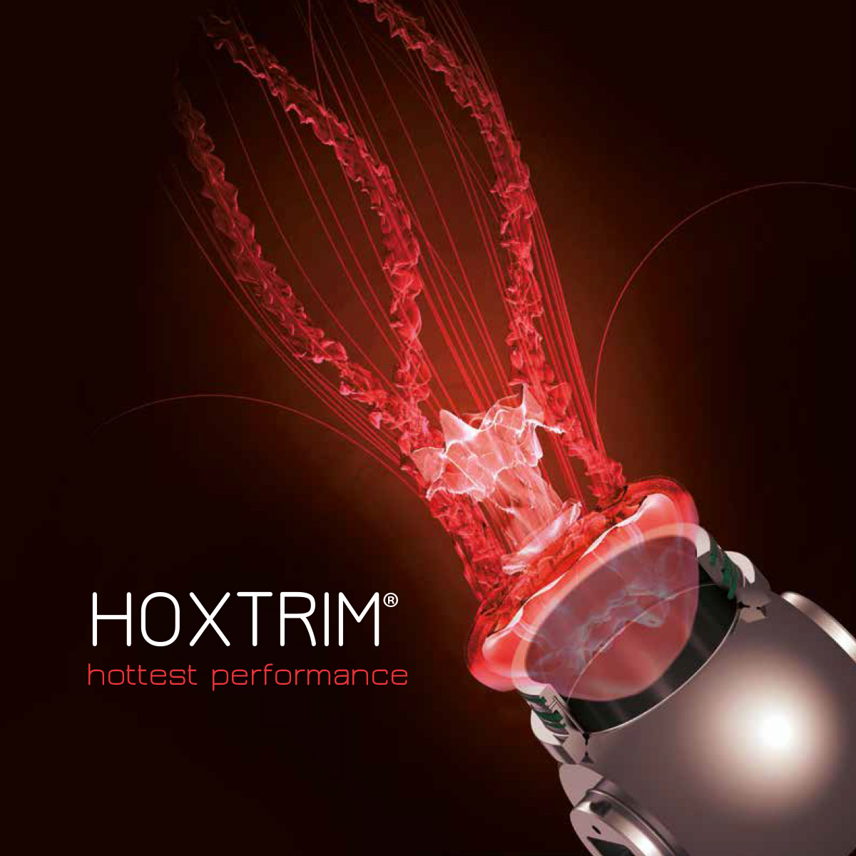 Depliant Hoxtrim